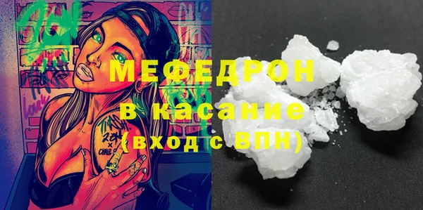 стаф Ельня