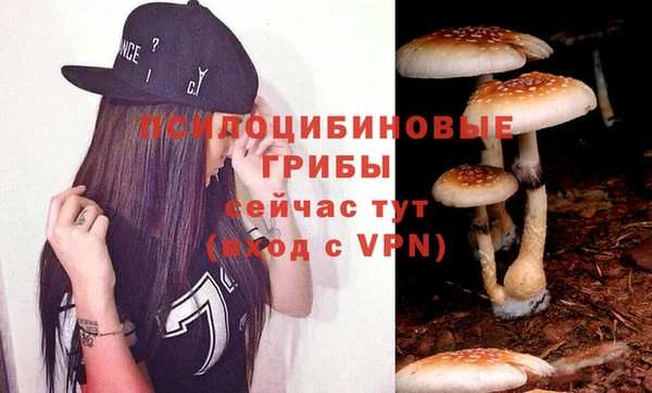 spice Алексин