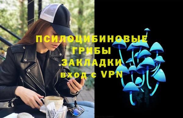 мдпв Елабуга