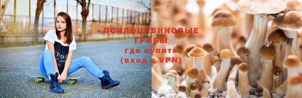 наркотики Алзамай